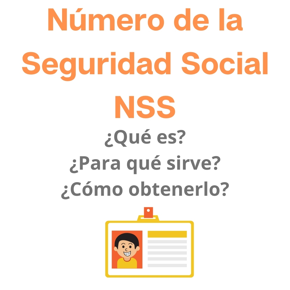 Número de la Seguridad Social NSS