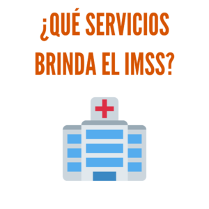 ¿Qué servicios brinda el Instituto Mexicano del Seguro Social (IMSS)?