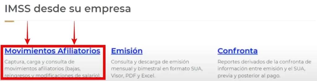 Seleccionar dentro del ISDE para como doy de alta trabajador en el imss