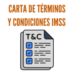 Carta de términos y condiciones IMSS