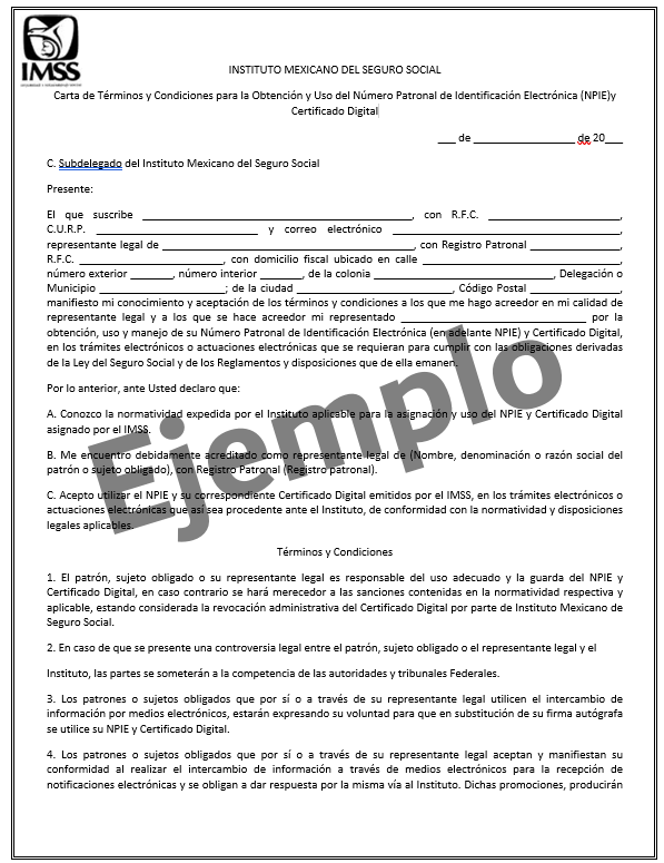 Carta de términos y condiciones IMSS editable 