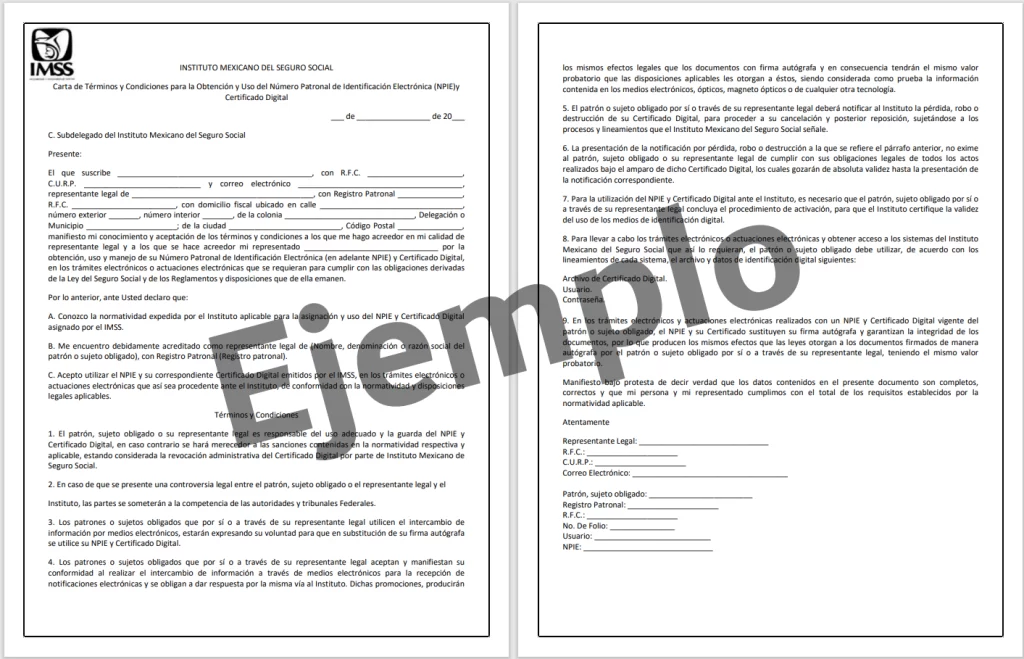 Carta de términos y condiciones IMSS PDF 