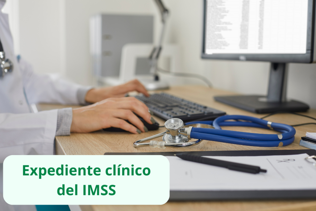 expediente clínico IMSS, formatos, tipos, ejemplos en Word y PDF